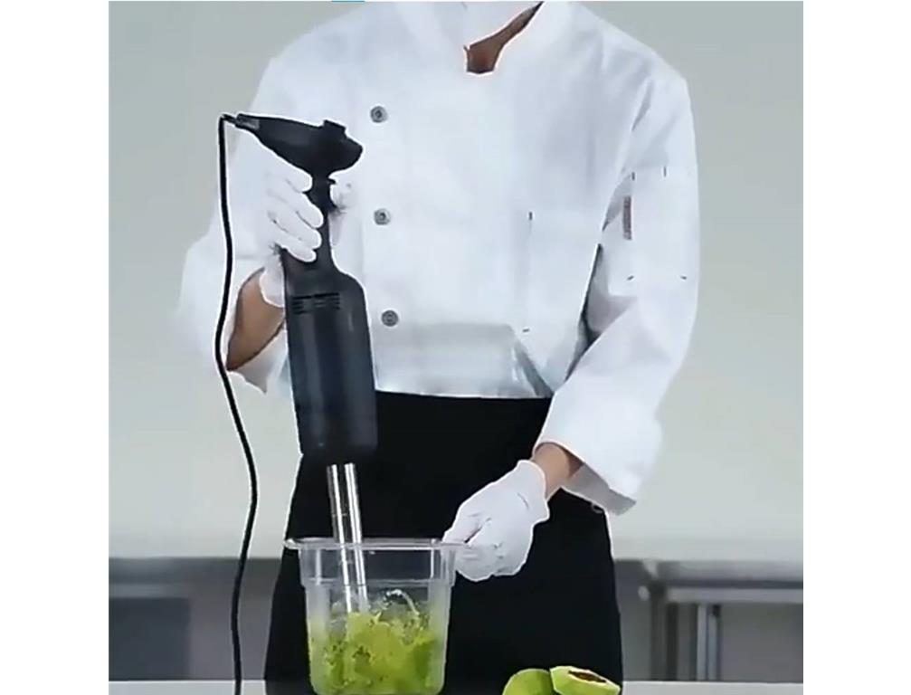Professioneller Stabmixer / 270W