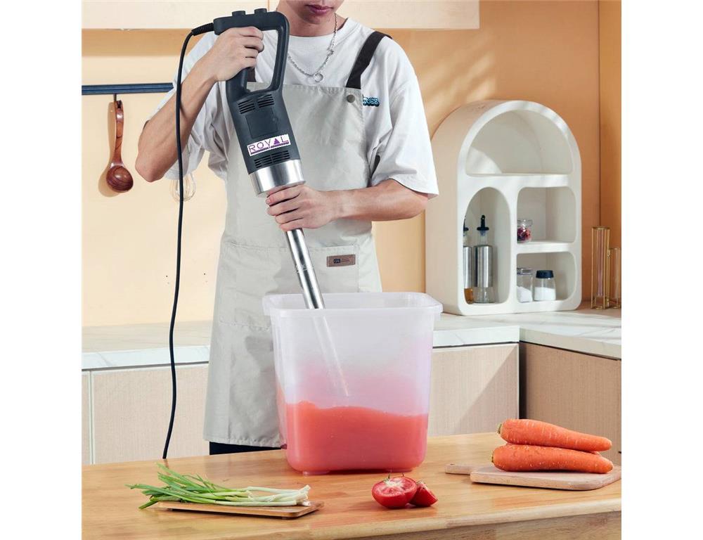 Professioneller Stabmixer / 350W