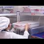 Frischhaltedose 1/1 /100mm/ 13,7L Frischhaltedose 1/1 /100mm/ 13,7L